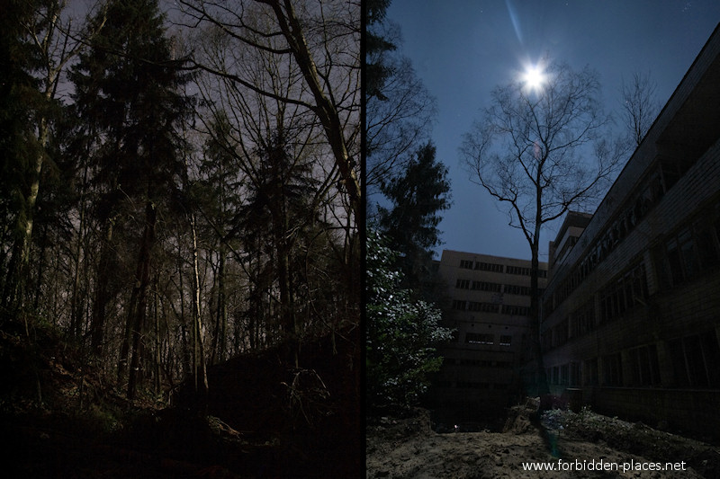 El Sanatorio Joseph Lemaire - (c) Forbidden Places - Sylvain Margaine - 8 - The sanatorium is surrounded by a forest.